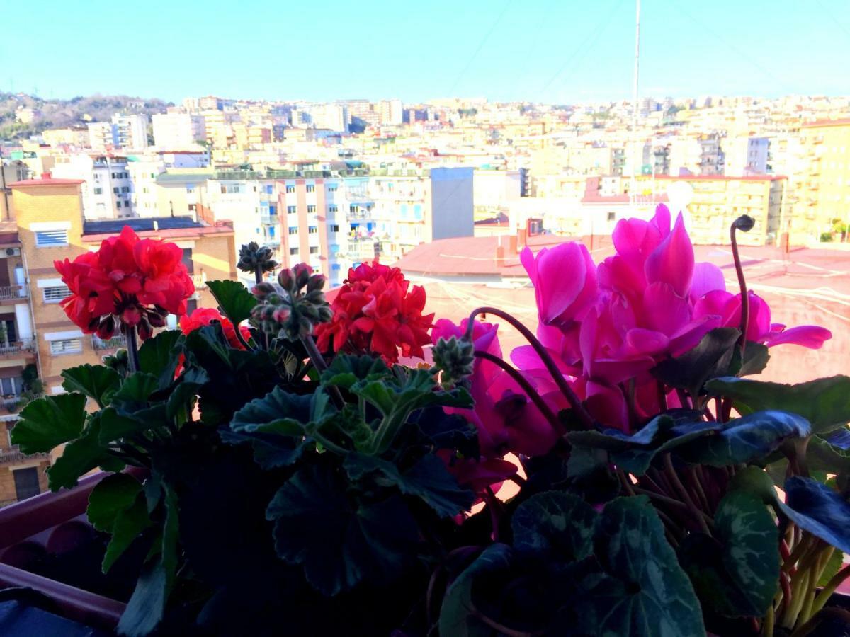 Suite Delicia Apartment - Appartamento Con Terrazza نابولي المظهر الخارجي الصورة
